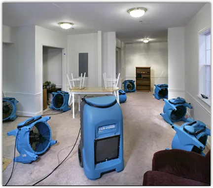Water Damage Restoration services in Frankford, NJ