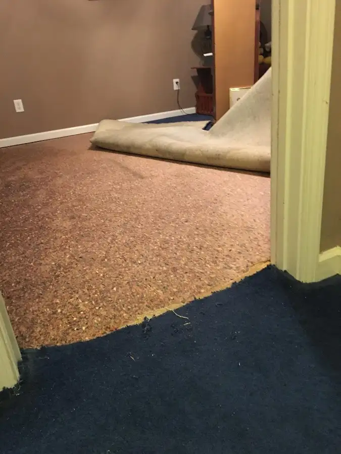 Carpet pad removal revealing water damage during Drying & Dehumidification in Frankford